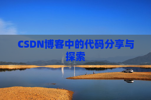 CSDN博客中的代码分享与探索